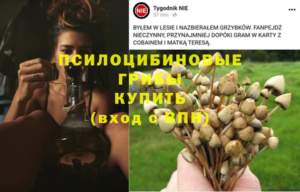 COCAINE Абинск