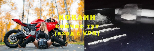 дмт Абаза