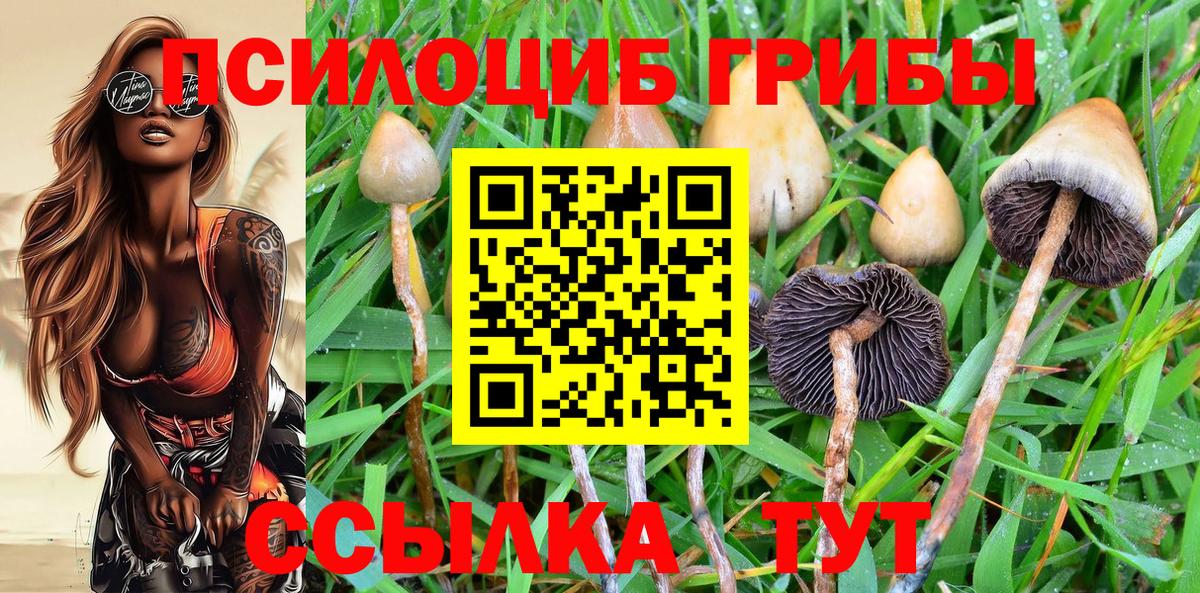 Донецк  Псилоцибиновые грибы Psilocybine cubensis  Вход с VPN 